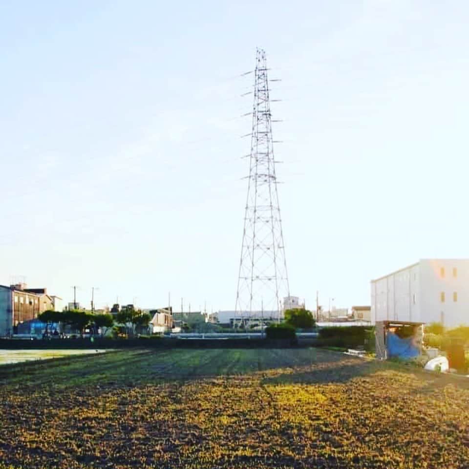 宮田麺児のインスタグラム：「2年目　酒造り　田んぼの日記  専属カメラマン　まえともさんより  #田んぼ#山田錦#日本酒#酒米#東大阪#クラファン」