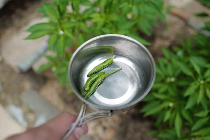 福岡グルメ 福岡ランチ「デビログ」さんのインスタグラム写真 - (福岡グルメ 福岡ランチ「デビログ」Instagram)「万太郎さん @mantaro_club 、カナグラムさん @kanagram29 と一緒に岡垣町にある『チョップキャンプ』へ。 福岡市内から車で1時間ちょっとくらい。 ここは以前から、めちゃ気になってたんよねぇ～ とにかくオーナーの菅野さんの世界観がすごい🙆‍♂️ 昨年の8月くらいから少しづつ敷地内の整備からテーブル、イスまで自身で製作し、ミニトマト、唐辛子まで栽培している。近々ツリーハウスを造る予定らしい。 カレーに入れる唐辛子を自分の好きな本数だけ、ちぎって取らせてくれる体験も楽しいね😄 . カレーはムルグ・マカニ(バターチキンカレー)から、ジビエを使ったものまで数種類あるよ。 ●CHOP CAMPカレー ¥800﻿ ●ムルグ・マカニ ¥1000﻿ ●ポーク・カシミール ¥1400﻿ ★タンドリーチキン ¥700﻿ (カレーとセットで¥500) . 狩猟も自身でするとかすごい。 今回は穴熊のカレー、夏鹿のバターマサラ、ポークカシミールをいただいたが、どれも個性的だが、そんなに辛くないので、食べやすい✌️ なんといってもタンドリーチキンは外せない。 万太郎さんイチオシの#タンドリーチキン はパサパサ感がなくジューシー！これは美味いねぇ😋👌 外で食べるのも気持ちいい。 土日のランチは混雑しているので、17時くらいからが狙い目のようだ。 . #チョップキャンプ (#CHOPCAMP ) #福岡県遠賀郡岡垣町 大字黒山1523 土、日 12:00～16:00 17:00～19:00 月、火 12:00～15:00 定休日：水曜日、木曜日、金曜日＋不定休 問い合わせはInstagramのDMで @chopcamp__  . ♦️福岡グルメ 福岡ランチの店舗探しならブラウザで「デビログ」で検索👉 ♦️お得な情報やディープな店舗情報はブラウザで「もっとデビログ」で検索👉 . #福岡カレー #福岡カレー部 #福岡ジビエ #福岡 #博多 #fukuokapics #fukuoka #fukuokacity #hakata #fukuokagourmet #IGersJP #ig_japan #福岡グルメ #福岡ランチ #福岡ごはん #福岡ご飯 #食べログ福岡 #福岡飯 #福岡食べ歩き #福岡インスタグルメ #インスタグルメ福岡」7月6日 23時02分 - devi_takahashi