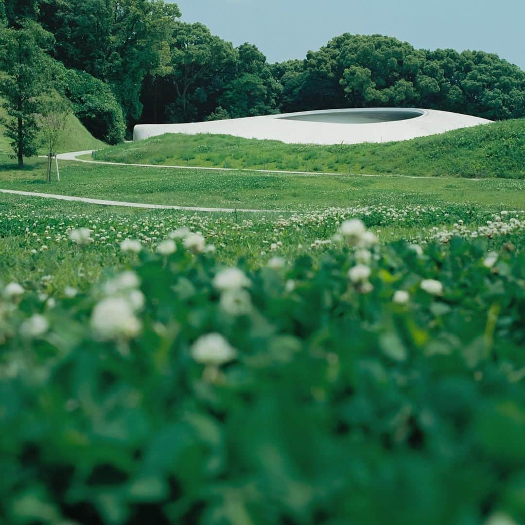 濱田英明さんのインスタグラム写真 - (濱田英明Instagram)「Teshima, Kagawa, Japan, 2018 #pentax67」7月6日 23時04分 - hamadahideaki