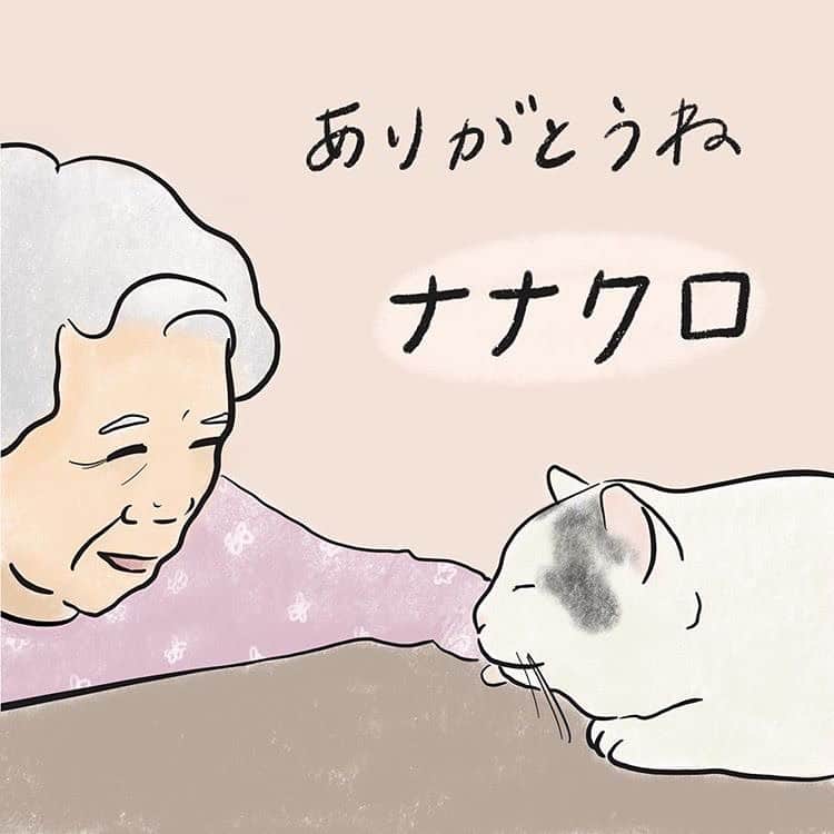 Kachimo Yoshimatsuさんのインスタグラム写真 - (Kachimo YoshimatsuInstagram)「Nipa(2%)さんがバーバとナナクロを描いてくれました。 温かいなあ。 ありがとうございます。 #うちの猫ら #nanakuro #ナナクロの絵 #バーバ #バーバと猫 #猫 #ねこ #cat #ネコ #catstagram #ネコ部 http://kachimo.exblog.jp」7月6日 23時12分 - kachimo