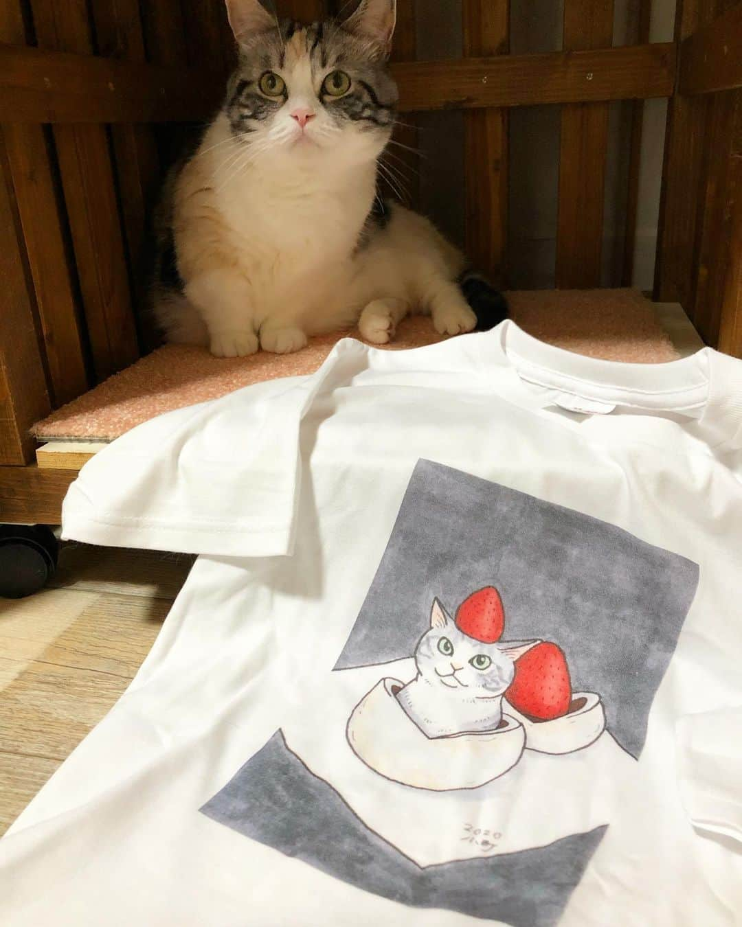 kamunaさんのインスタグラム写真 - (kamunaInstagram)「@maltakomachi さんに描いてもらった絵を  @curike_official さんでTシャツにしました！ 小町さんのアーティスティックな作品がとても素敵に出来あがりました。 @curike_official さんは安くて質も良いのでよく利用します。  #ねこ#cat#catofinstagram#cats#マンチカン部#ぺぺぺっつ#ねこのきもち#多頭飼い#パンチクリン健太#マンチカン#munchkin #scottishfold#スコティッシュフォールド#短足#ねこ好き#ねこのいる生活#bestmeow#pecoねこ部#pecotv#club_of_cats#catsoftheday#instacat_meows#cats_of_world#cat_features#kitties#tシャツ#nyancon01」7月6日 23時20分 - tansoku_love