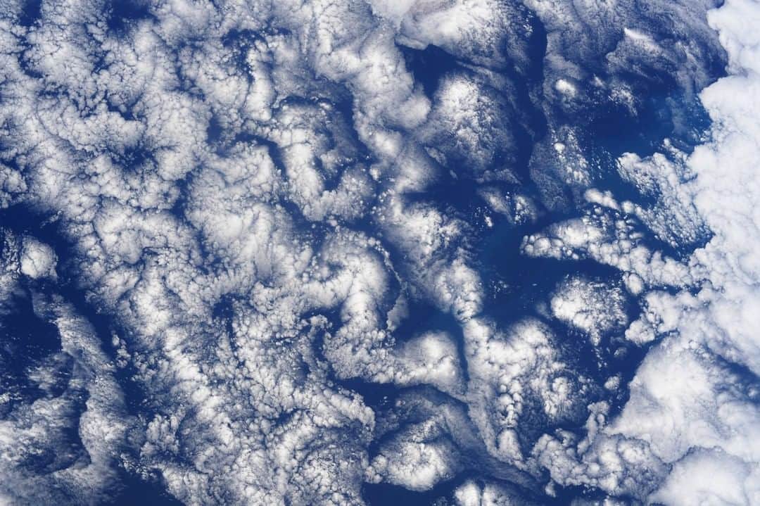 NASAさんのインスタグラム写真 - (NASAInstagram)「☁️ At 250 miles above the southern Pacific @Astro.Doug captured “Cloud Art” from aboard the @iss. What would you name this masterpiece?  Credit: NASA  #InternationalSpaceStation #NASAastronauts #SpaceClouds #Clouds #ISS #EarthViews #NASA」7月7日 0時11分 - nasa