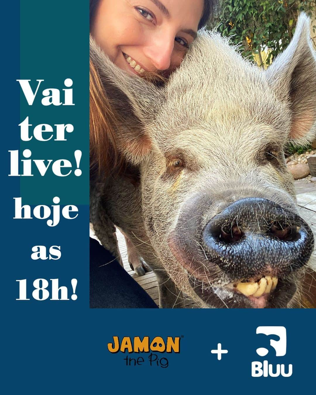 Jamonさんのインスタグラム写真 - (JamonInstagram)「Só a @bluuapp para fazer minha mãe me ajudar a comandar uma live aqui no Instagram hoje 06/07 as 18h. Vem conversar com a gente e entender como essa plataforma para o universo pet vem para mudar muito como interagimos entre donos de pet, serviços e descobrir muitas dicas!  Vem conversar com a gente hoje! 06/07 as 18h  #bluuapp #enbaixadoresbluu #jamonthepig #pig #pigs #pet #pets #pigsofinstagram #petsofinstagram #friendsnotfood」7月7日 0時59分 - jamonthepig