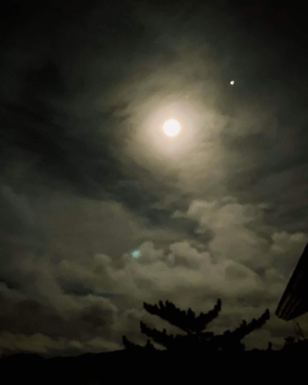 MICHIRUさんのインスタグラム写真 - (MICHIRUInstagram)「Hello, almost full moon 🌝  . 月明かりが照らす海や木々の美しさとパワフルな天体を見ながらしばし月光浴。  月の隣に木星？がくっきり。 惑星の接近などイベント盛りだくさんの天体。 今夜は七夕🎋天の川チラリでも見えるといいな✨ . #fullmoon #満月　#沖縄の月」7月7日 1時19分 - barbiemichiru