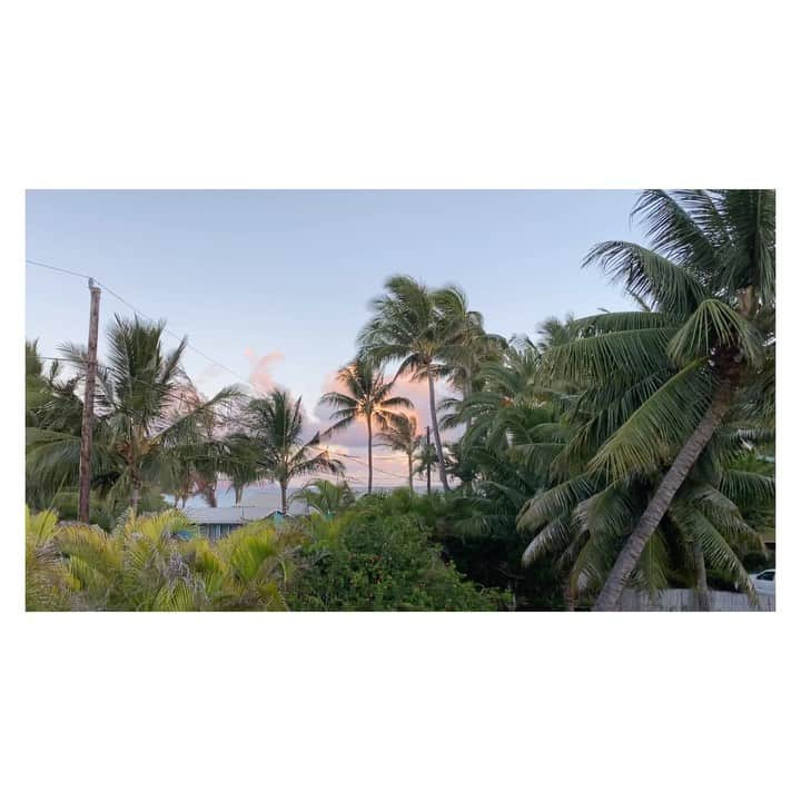 荒川れん子のインスタグラム：「Good morning from Maui at 6:00am☀️🏝 マウイの朝6時✨ . . #hawaii #maui #happy #aloha #hilife #morning #islandhopping #instagood #instagenichawaii #travel #holiday #nofilter #luckywelivehawaii #lifeisajourney #lovehawaii #ハワイ #マウイ #ハワイ生活 #ハワイ暮らし #旅 #日々の暮らし #ハワイ旅行 #ハワイ好き #島巡り #連休 #今のハワイ #妄想ハワイ #朝 #イマソラ #おはようございます」
