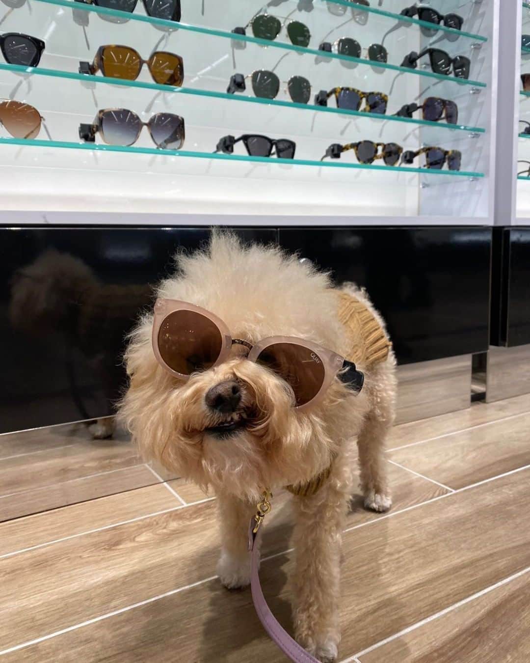 Bloomingdale'sさんのインスタグラム写真 - (Bloomingdale'sInstagram)「Paws up if you're planning a trip to #Bloomies59 this week 🐾 We're so excited to welcome you + your fur babies back in store! . . . . . . #ShoppingDay #DogLife #NYCDogs #Bloomingdales」7月7日 2時25分 - bloomingdales