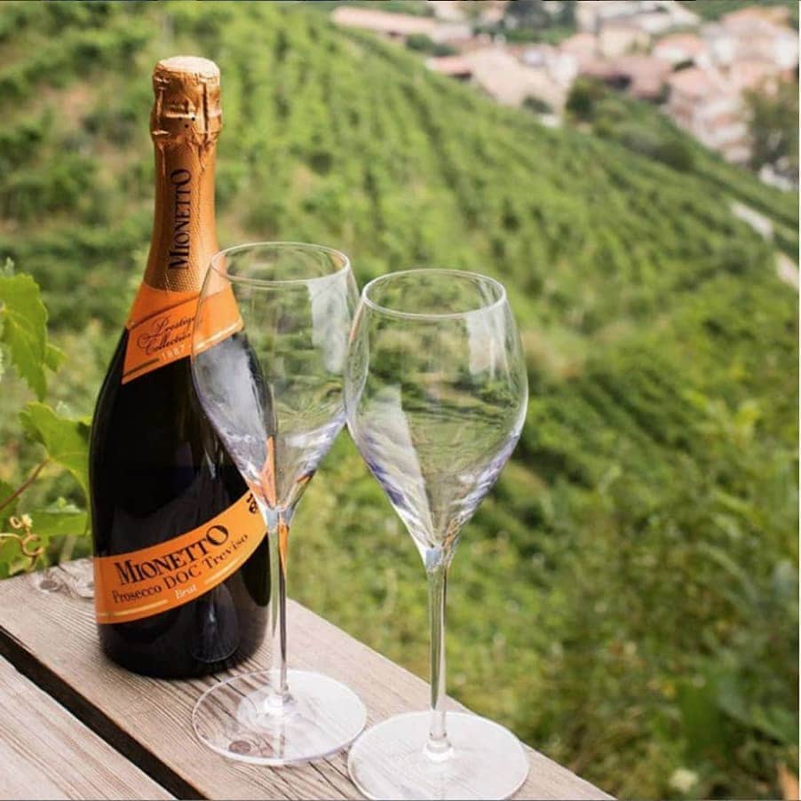 Mionetto Prosecco Suomiさんのインスタグラム写真 - (Mionetto Prosecco SuomiInstagram)「Mionetto Prosecco DOC Treviso on maailman suosituin Prosecco. Laadukkaat rypäleet luottoviljelijöiltä yhdistettynä viinintekijöiden huippuosaamiseen ja uusimpaan teknologiaan ovat Prosecco-talon menestyksen salaisuus. Pullon viisto etiketti on viinitilalle tunnusomainen ja ilmentää valikoiman hienostuneisuutta. Viinin tuoksussa on aromaattista omenaa sekä erittäin kuivassa maussa raikasta sitrusta, päärynää ja aprikoosia. Kuplien runsaus ja kepeys tekevät siitä täydellisen kuohuvan nautittavaksi milloin tahansa. . Ruokasuositus: #seurustelujuoma #aperitiivi, vähärasvainen kala, salaatit ja #kasvisruoka ​. ​#mionetto #prosecco #mionettoprosecco #kuplivamionetto #viini #kuohuviini #kuplivaa #glera」7月7日 2時34分 - mionettoproseccofinland