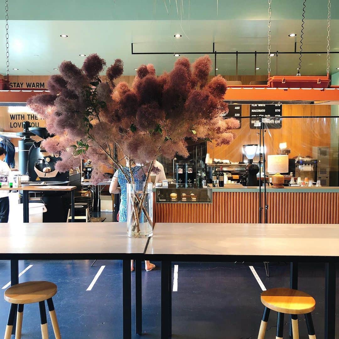 中村貞裕さんのインスタグラム写真 - (中村貞裕Instagram)「#littledaringcoffeeroasters #allgoodflowers #flowers」7月7日 13時35分 - transit_nakamura