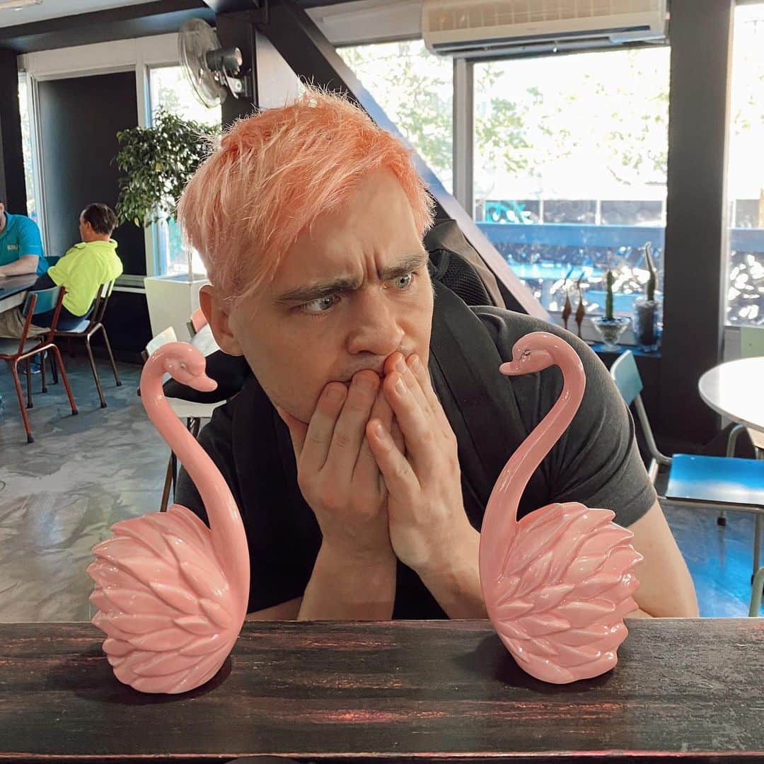 シェパードのインスタグラム：「The flamingos awkwardly pulled me aside to inform me they've just been assigned as my new spirit animal. #pinkhair EDIT: THESE ARE CLEARLY SWANS AND I DIDN'T EVEN NOTICE. 😂」
