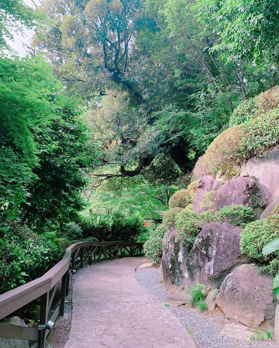ゆうたむさんのインスタグラム写真 - (ゆうたむInstagram)「🍈🍈🍈 . . . . . メロンづくしのアフタヌーンティーセット☕️🍰 . . はじめて椿山荘に行ってきました♡ . . 最近は緑、自然が好きだから 椿山荘の庭園では癒された🍃🌳 . . . . 昔、趣味:カフェ巡り ってずっと、書いてたんだけど 進化してアフタヌーンティー巡りにいつのまにかなってた☕️😳 . . . #afternoontea  #東京アフタヌーンティー  #椿山荘　#庭園 #日本庭園」7月7日 12時17分 - yuutamu_non