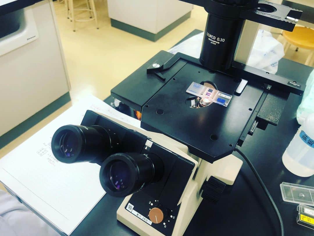 東京バイオテクノロジー専門学校さんのインスタグラム写真 - (東京バイオテクノロジー専門学校Instagram)「様々な培養器具を使って、 安定的に培養を継続できる技術を学ぶ🧫  2年生の応用細胞実習Ⅰでは、 クリーンベンチを使って、 血清ロットチェック用の細胞の 培養開始しました🔬✨  この授業では、 培養器具の使い方を学び、 特徴に合わせて適切な使い方を実践します！  #東京バイオ#再生医療 #理系#バイオ #東京バイオテクノロジー専門学校  #細胞#細胞培養#無菌室 #クリーンベンチ」7月7日 12時26分 - tokyobio