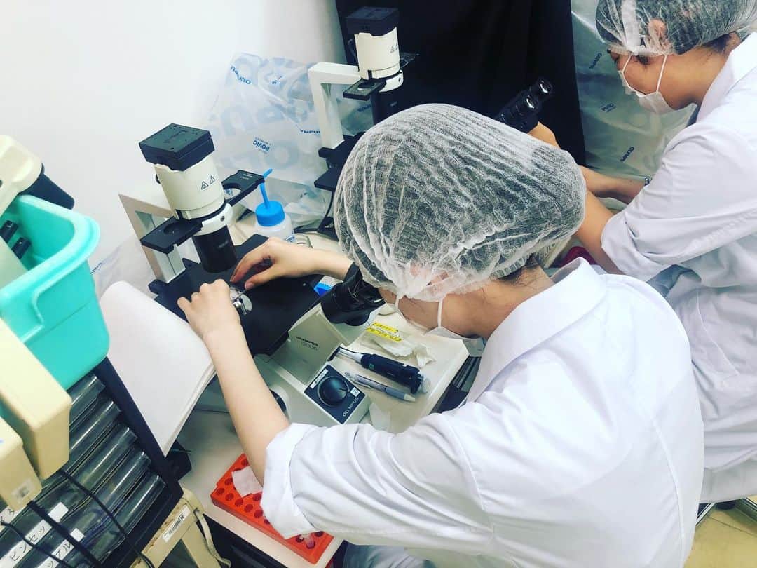 東京バイオテクノロジー専門学校さんのインスタグラム写真 - (東京バイオテクノロジー専門学校Instagram)「様々な培養器具を使って、 安定的に培養を継続できる技術を学ぶ🧫  2年生の応用細胞実習Ⅰでは、 クリーンベンチを使って、 血清ロットチェック用の細胞の 培養開始しました🔬✨  この授業では、 培養器具の使い方を学び、 特徴に合わせて適切な使い方を実践します！  #東京バイオ#再生医療 #理系#バイオ #東京バイオテクノロジー専門学校  #細胞#細胞培養#無菌室 #クリーンベンチ」7月7日 12時26分 - tokyobio