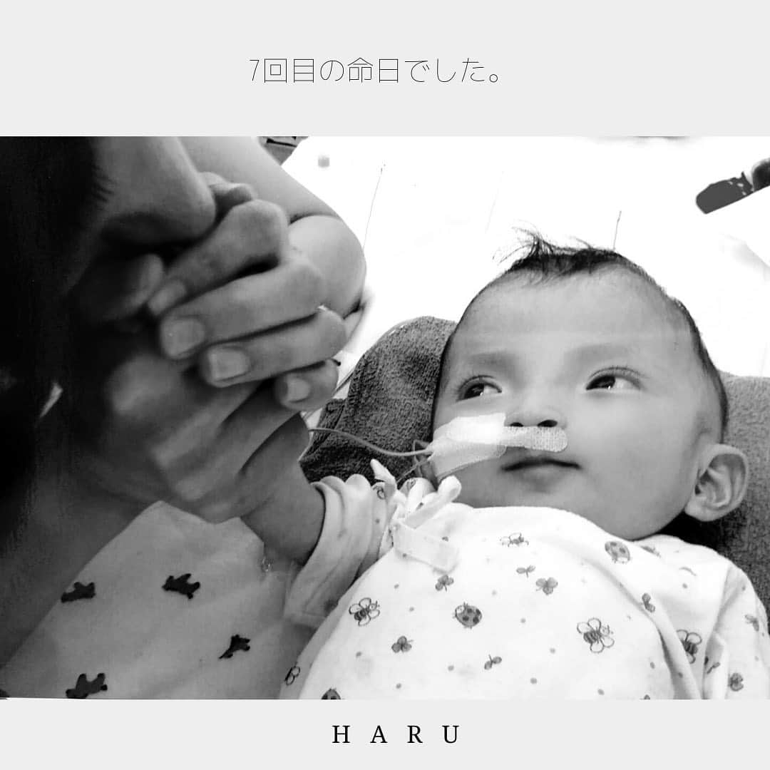 Miho Tanakaさんのインスタグラム写真 - (Miho TanakaInstagram)「haruの法要が終わりました。 . 毎年恒例の日。 たった1時間だけどものすごく大切な1時間。  この時間はharuのことだけを考える1時間で、法要に向けた準備もharuのためだけの時間。  毎日騒がしくて家事や育児や仕事やなんやらとしてると、なかなか静かな気持ちでharuの写真を見ながら振り返ることも少なくなっているけど、  日常の会話でharuの話は子どもたちともよく話すので、思い出す存在というより〝当たり前にそこにいる〟存在って感じかな。  法要の準備中、 主人とharuの写真アルバムを見てたら2人とも自然に涙が出てきて止まらなくなりました。  こんなに小さかったっけ。 こんなに細い体で手術もして、点滴もいっぱいして、でもいつも微笑んでくれて力強くて。 ミルクの量の制限もあったから満腹にもなれずにいたのにぐずったりもしなくって。 0歳らしくなくて色んなことを理解してるような表情をしてたこと。  病院内で抱っこしながら散歩したこと。 NICUに鳴り響いてたサチュレーションの音。 よく遊んでたちょうちょのおもちゃ。  色んなことがいっきにフラッシュバックしてきて、淋しくて悲しくて会いたくて泣いた。  haruが生まれて私は母になって、 子どもがこんなに愛おしいことを知れて、守る存在が出来ることで強くもなったし弱くもなった。  この梅雨の時期は、 6年前の大雨だったお葬式の日を思い出して会いたくなる。 . . 会いたいです。 . . _____________ #haruの命日 #娘の命日　#命日　#大切な日 #七回忌　#天使ママ　#長女 #肺静脈狭窄 #肺高血圧症  #先天性心疾患　#梅雨の季節  #法要」7月7日 12時46分 - mie__blogger