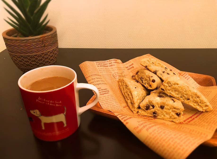 藤井美加子のインスタグラム