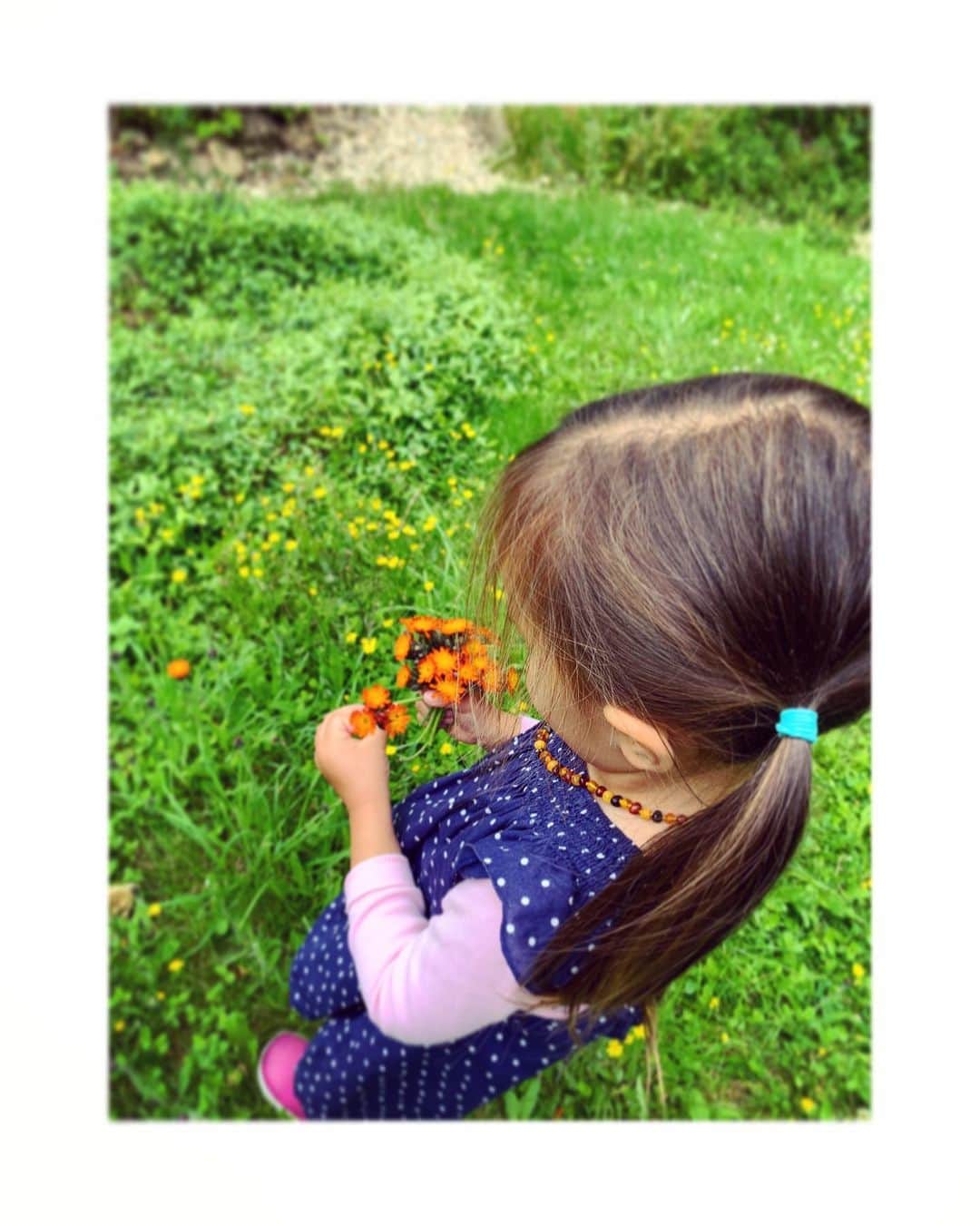ダイアナ湯川さんのインスタグラム写真 - (ダイアナ湯川Instagram)「You are my flower 🌺 . . . . #daughter #two #toddler #mygirl #childhood #parenthood #mama #flower #nature #happiness #simplepleasures」7月7日 4時50分 - diana.yukawa