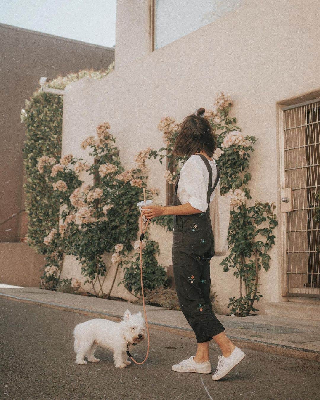 W E Y L I Eのインスタグラム：「Just like that, we’re headed back to LA! It’s only a 6 hour drive, but Southern & Northern California truly have distinct differences. The highlight of my trip would have to be camping and visiting my favorite neighborhood in SF. Stay tuned for the vlogs on WahlieTV!」