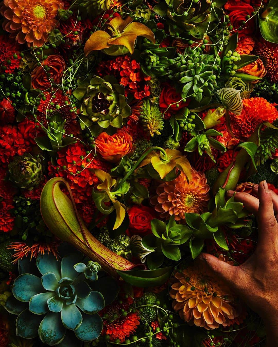 東信のインスタグラム：「Flowers #amkk #amkkproject #makotoazuma #azumamakoto #東信花樹研究所 #東信 #jardinsdesfleurs #shiinokishunsuke #flowerart #flower #flowers」