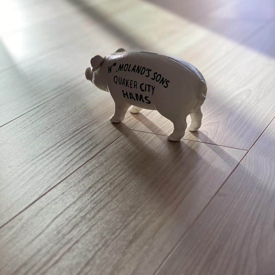 大出千尋のインスタグラム：「. 我が家の500円玉貯金箱🐖🐖🐖 今朝、リビングに差し込んだ光が綺麗で、床に置いてみたら、光に向かって歩いてるみたいで可愛い💕」