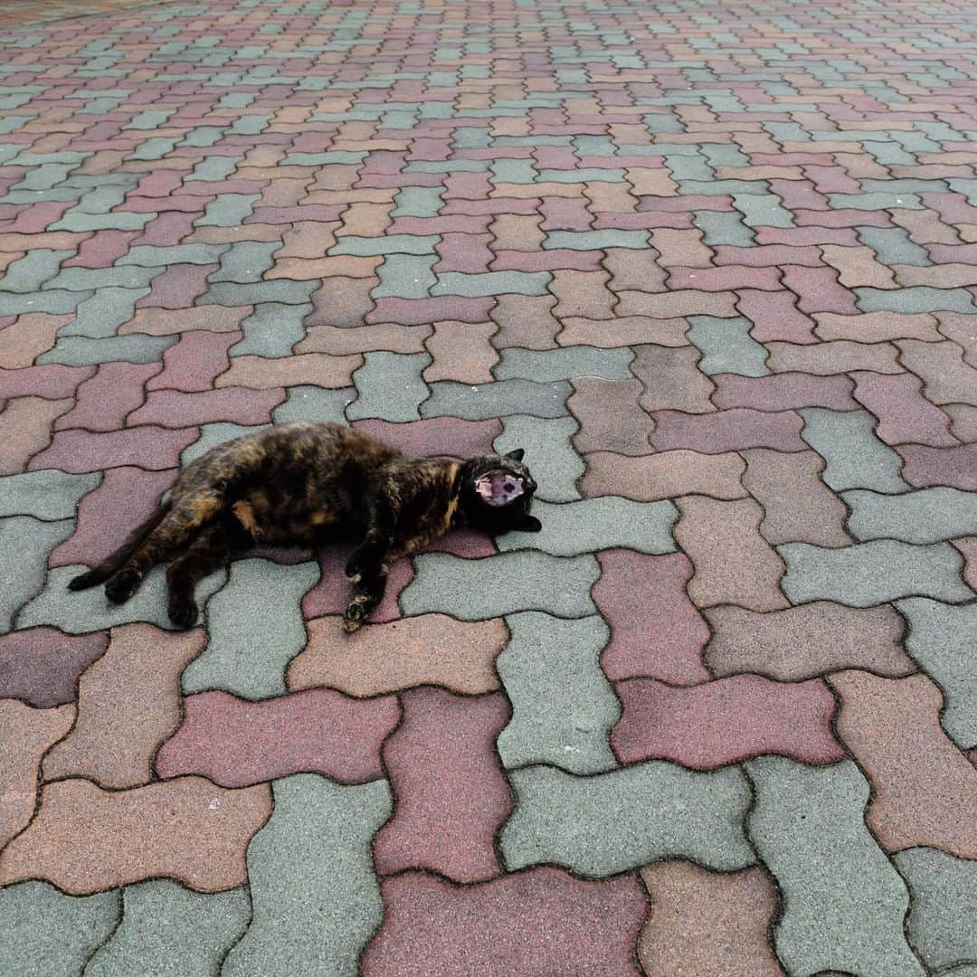 ををつかのインスタグラム