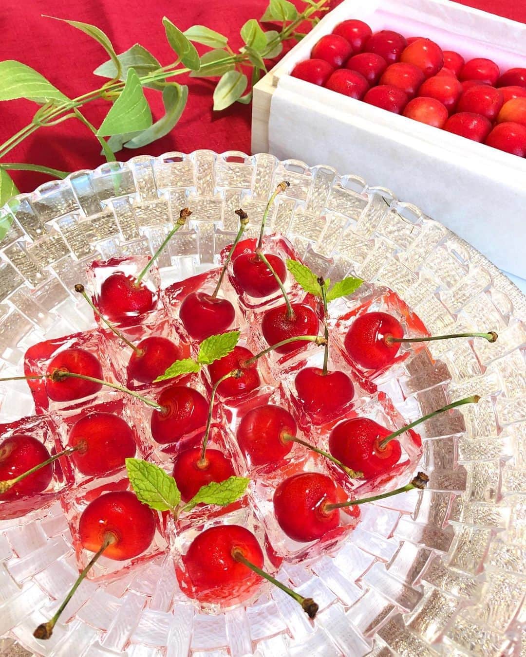 Manaのグルメインスタ