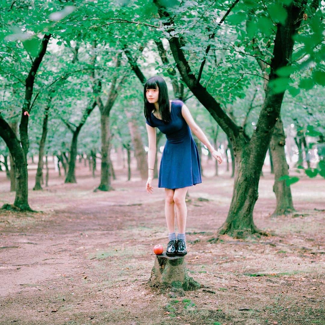 のインスタグラム：「. . . . 「木のポーズ」 . . . . 🍎」