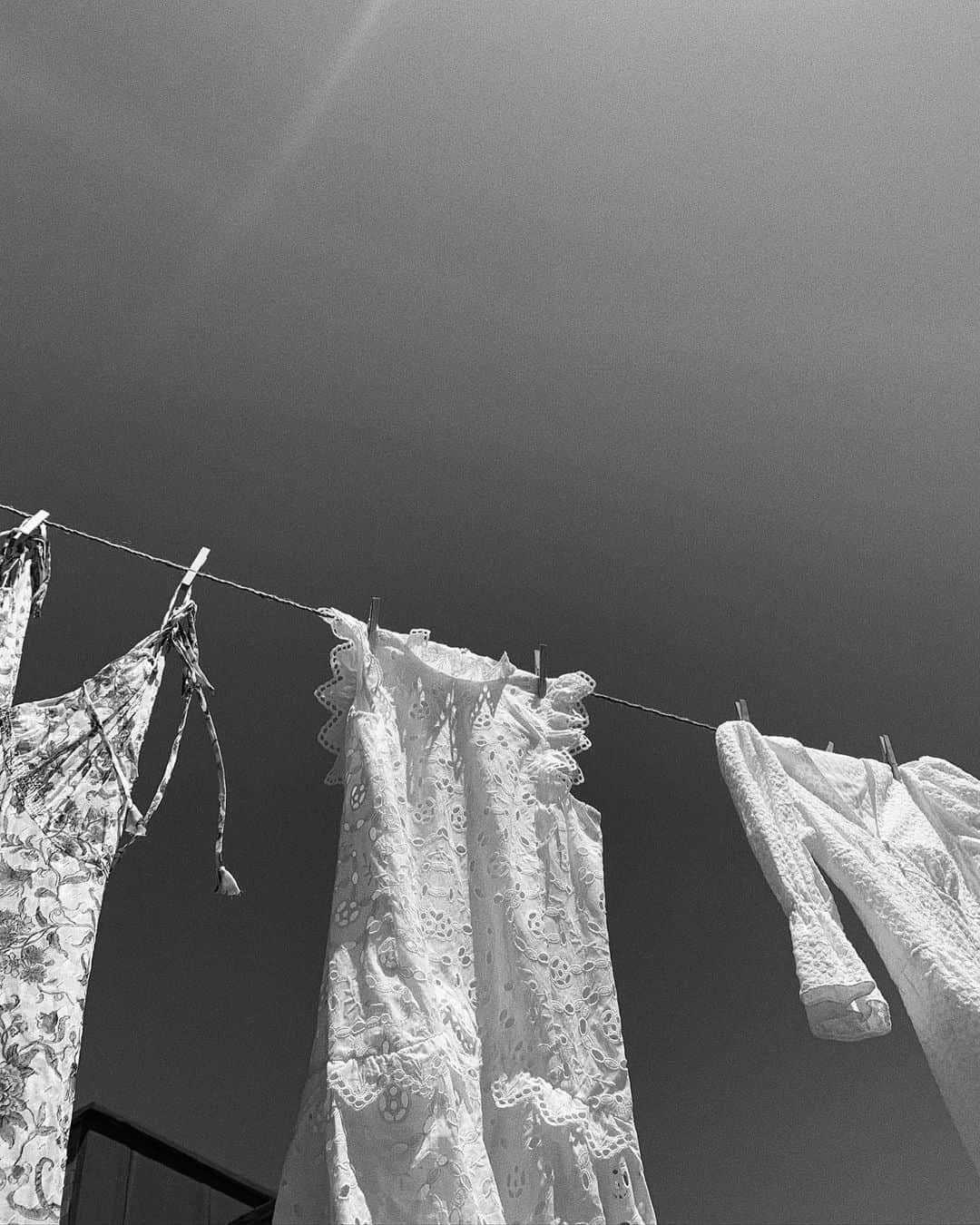 レベッカテイラーのインスタグラム：「The shapes of summer.」