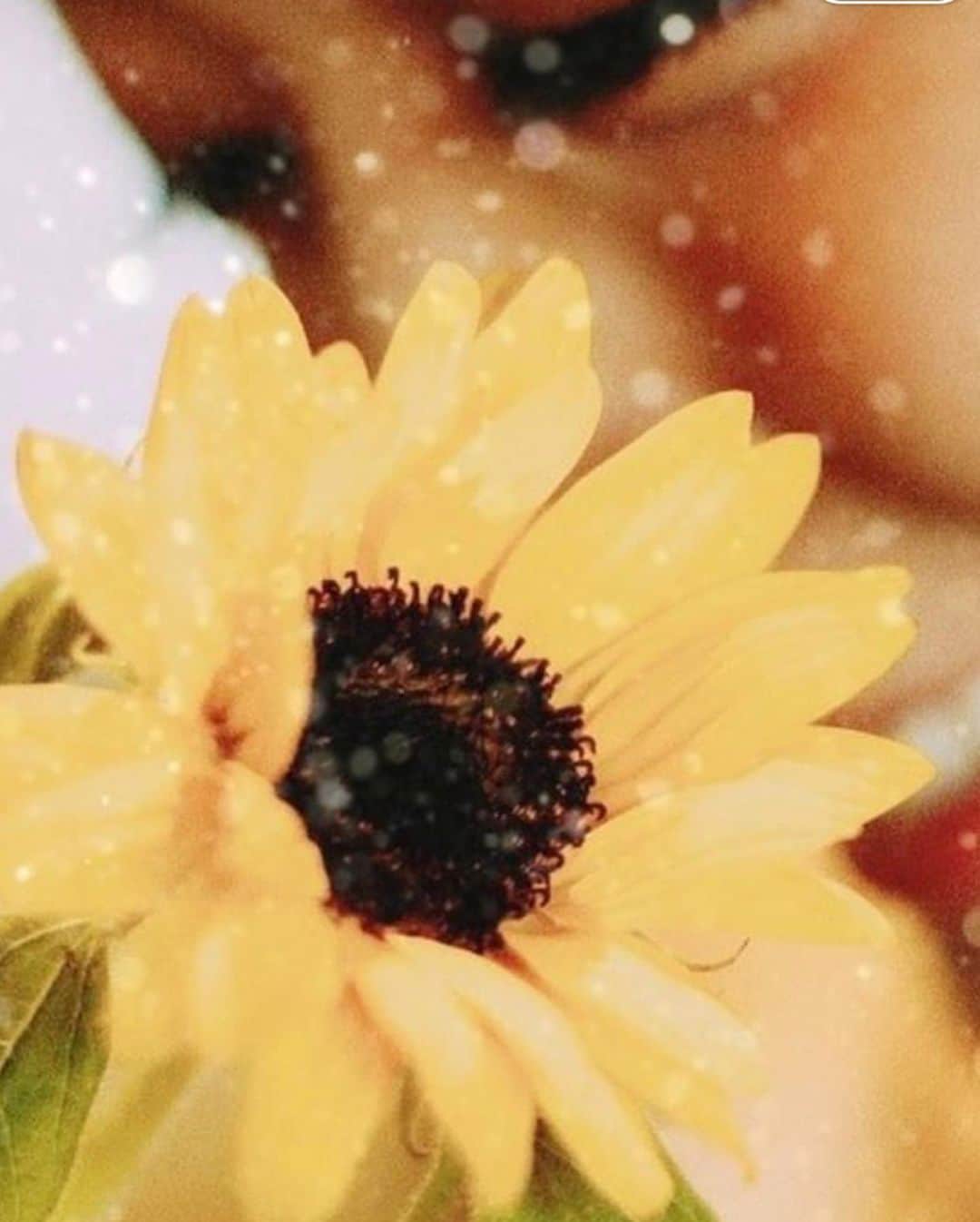 藤井明恵さんのインスタグラム写真 - (藤井明恵Instagram)「𝐒𝐮𝐧𝐟𝐥𝐨𝐰𝐞𝐫 🌻💛🤎 向日葵は凄く想い入れのある 1番好きなお花⸜❤︎⸝‍･.｡*･.｡* . . #sunflower #happy #smile」7月7日 10時13分 - myunghae.k314