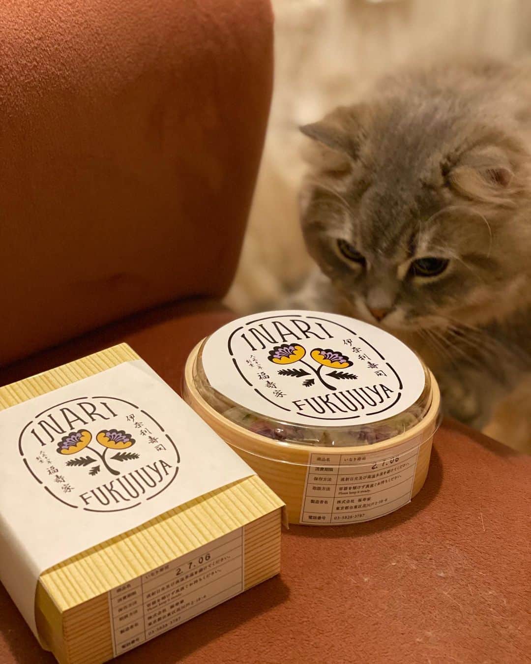 のインスタグラム：「テイクアウト専門店福寿屋さんの高級稲荷寿司🤤💕💕 ・ ・ ・ やっぱりまだ外食に対して少し抵抗があったりする中でこうして美味しいご飯が食べられるって嬉しいですよね！ ・ ・ ・ めちゃくちゃ美味しかったけど、見た目が可愛くて食べるのがもったいなかったです🙈💓 ・ ・ ・ みなさんも浅草に行くことがあったらぜひ買ってみてください♡♡ ・ ・ ・ ・ ・ ・ ・ ・  #福寿屋 #浅草グルメ #いなり寿司 #伊奈利寿司 #浅草 #テイクアウト #お土産 #pr #コラボベース #美味しい #東京グルメ #グルメ」