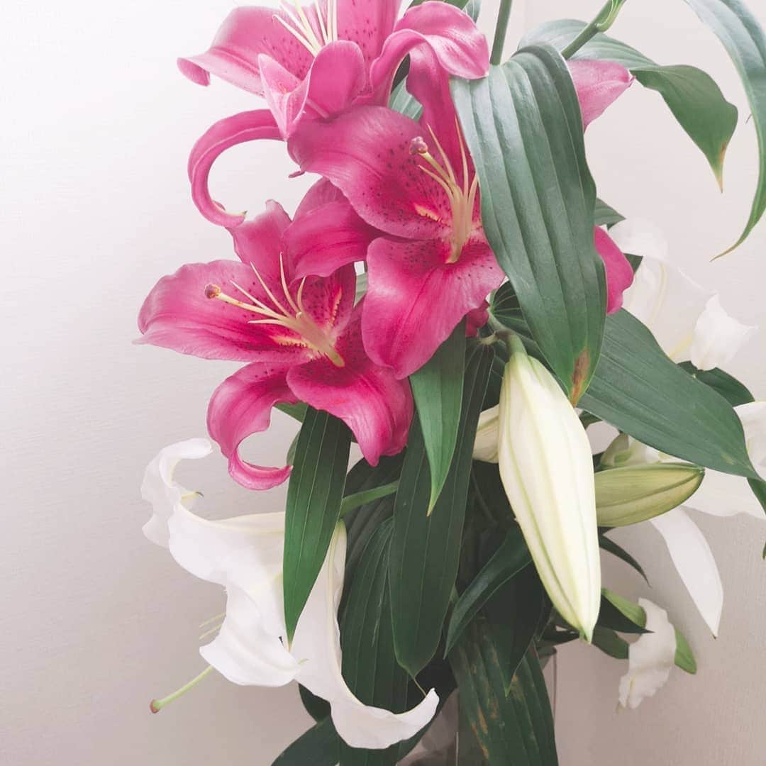 高橋絵美さんのインスタグラム写真 - (高橋絵美Instagram)「我が家のお花たちは今日も元気をたっぷり与えてくれます⸜🌷︎⸝‍⸜🌷︎⸝‍ありがとう💓💓💓」7月7日 10時32分 - emitakahashi0916
