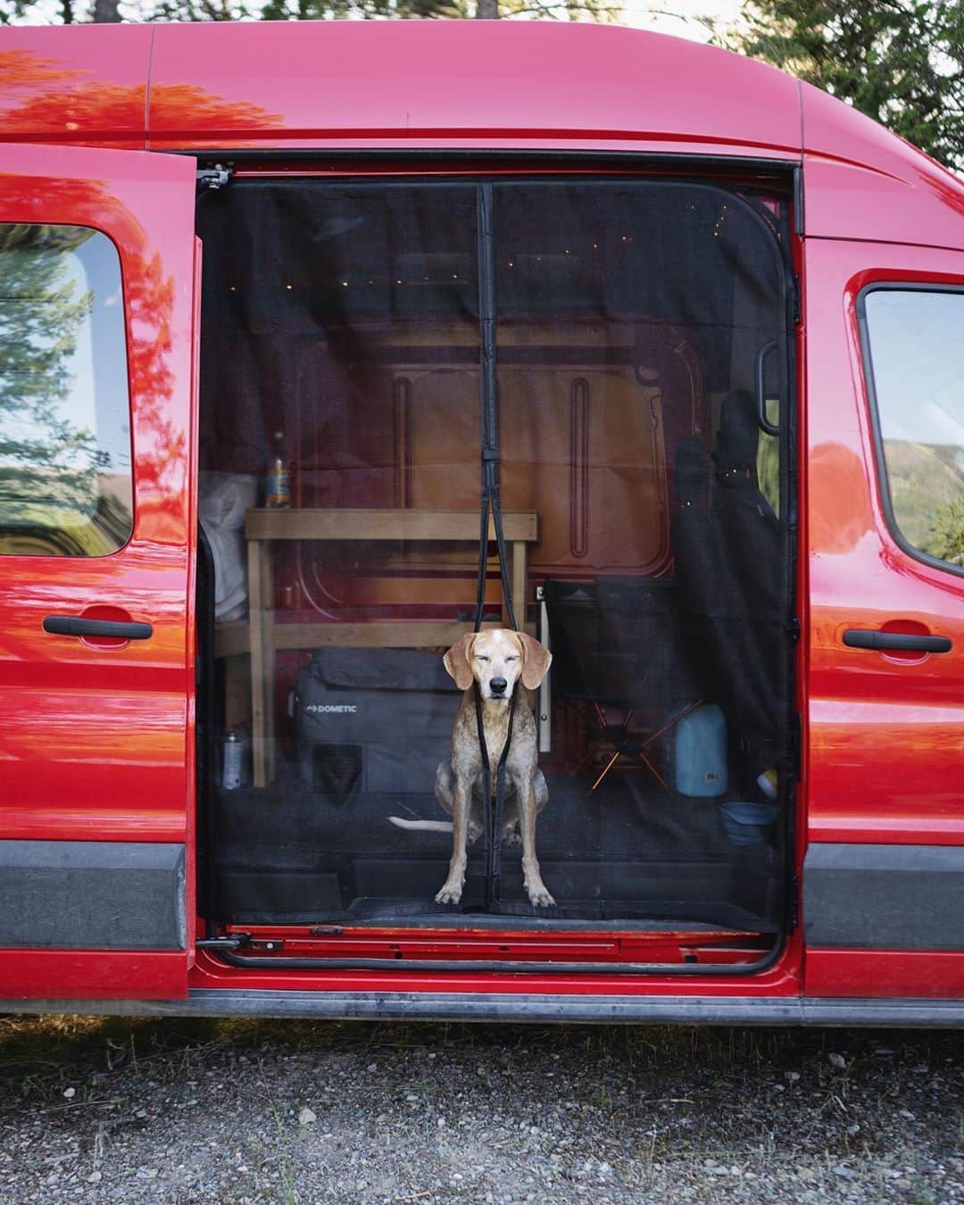 マディのインスタグラム：「This magnetic bug screen is easily the best addition on the van so far! I looked all over for a reasonably priced screen with exact fit but all of the ‘van life’ type shops out there wanna separate you from your money. I saw a few for $450! But I landed on this one that’s dialed, custom made by Magzo to any size for $68.88 shipped ✨not mad」