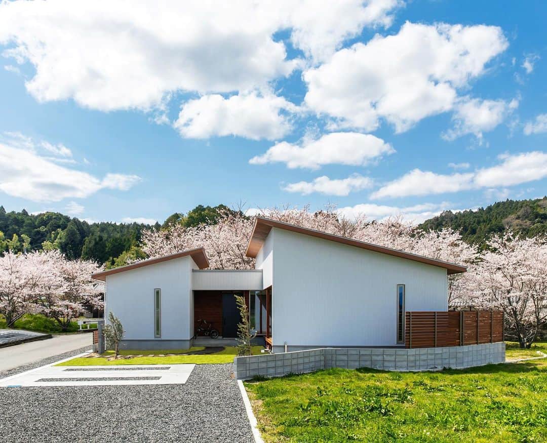 ルポハウス一級建築士事務所さんのインスタグラム写真 - (ルポハウス一級建築士事務所Instagram)「・ ・ ・ 桜を背景に、青空と白ガルバリウムのコントラストが美しい外観。 ・ 大小２つのボリュームに架かる片流れ屋根は、遠景の山並みを思わせます。 ・ ・ ・ 𓐌𓐌𓐌𓐌𓐌𓐌𓐌𓐌𓐌𓐌𓐌𓐌𓐌𓐌𓐌𓐌𓐌𓐌  ルポハウスの施工事例はこちらまで☞ @reposhouse  𓐌𓐌𓐌𓐌𓐌𓐌𓐌𓐌𓐌𓐌𓐌𓐌𓐌𓐌𓐌𓐌𓐌𓐌 #ルポハウス は#ちょっとかっこいい家 を"友人のために" という思いでつくっています。 一生に一度の#マイホーム。 「あなたにしかできない」×「ルポハウスだからできる」で、 私たちだけの#家づくり を思いっきり楽しんでみませんか？！ ・ ・ ・ #住宅 #注文住宅 #新築一戸建て #デザイナーズ住宅  #一級建築士事務所 #設計事務所  #滋賀県大津市 #滋賀県草津市 #滋賀県栗東市  #滋賀県近江八幡市 #外観デザイン #外観イメージ #ホワイトガルバ #白いガルバ #平屋 #平屋外観」7月7日 11時57分 - reposhouse
