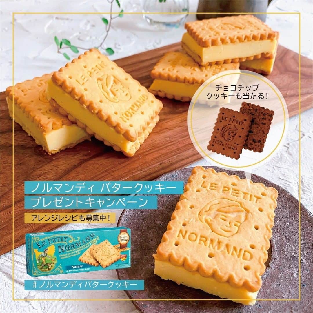 キタノ商事株式会社さんのインスタグラム写真 - (キタノ商事株式会社Instagram)「🇫🇷アベイ[ノルマンディ バタークッキー] フランス・ノルマンディの原料にこだわり、フレッシュバター100％で作られた、香り豊かな[ノルマンディ バタークッキー]は、手土産などギフト用のスイーツのアレンジにも◎。 ・ レーズンバターやクリームチーズ、マシュマロなど、挟むだけでかわいいデザートになります。 ・ 今日はギフトの日です。簡単で素敵なアレンジを、ぜひお友達やご家族など、まわりの方とご一緒にお楽しみください。 ・ ◆プレゼントキャンペーン◆ ※こちらのキャンペーンは終了いたしました。 現在[ノルマンディ バタークッキー][ノルマンディ チョコチップクッキー]が当たるプレゼントキャンペーンを開催中。詳しくは6/23のキャンペーン投稿をご覧ください。(2枚目の画像と同じ画像の投稿です) ※商品の販売店情報の一部をキャンペーン投稿の次の投稿に掲載しています。 ・ photo by @no_lala_no_life ブランドの詳しい情報はハイライトのリンクから。 こちらからもご覧頂けます。@kitano_pr ・ ・ #アベイ #ノルマンディバタークッキー #キタノ商事 #世界のおいしさをキタノから ・ #Abbaye #LEPETITNORMAND #ノルマンディチョコチップクッキー #クッキー #レーズンバターサンド #レーズンバター #レーズンサンド #チーズケーキサンド #ワンハンドチーズケーキ #チーズケーキ #ビスケット #パケ買い #手作りお菓子 #手作りスイーツ #おかし作り #お菓子 #おやつ #おうちカフェ #簡単レシピ #お菓子作り #手作りおやつ  #お菓子作り好きな人と繋がりたい #デリスタグラマー #丁寧な暮らし #暮らしを楽しむ」7月7日 12時00分 - kitano_kk