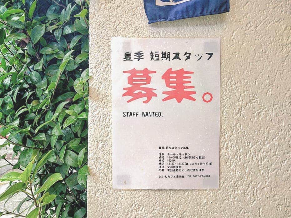おいもカフェ金糸雀のインスタグラム：「. 【求人】夏季 短期スタッフ募集 . おいもカフェでは只今、8月を中心に12日前後、アルバイト出来る夏季限定スタッフを募集中です！ この夏、鎌倉のカフェで一緒に働いてみませんか♪ . 仕事　ホール・洗い場 資格　16～40歳位 時給　1020円 時間　13:30～18:30 待遇　交通費支給 . 電話連絡の上、履歴書を持参下さい！ . #おいもカフェ金糸雀 #おいもカフェ #カフェ #鎌倉 #スイーツ #鎌倉カフェ #鎌倉スイーツ #小町通り #求人 #バイト #アルバイト . 《おいもカフェ金糸雀》 営業時間：10:00-18:00(L.O.17:30) 定休日：水曜日 248-0006 神奈川県鎌倉市小町2-10-10 小町TIビル1F TEL：0467-22-4908」
