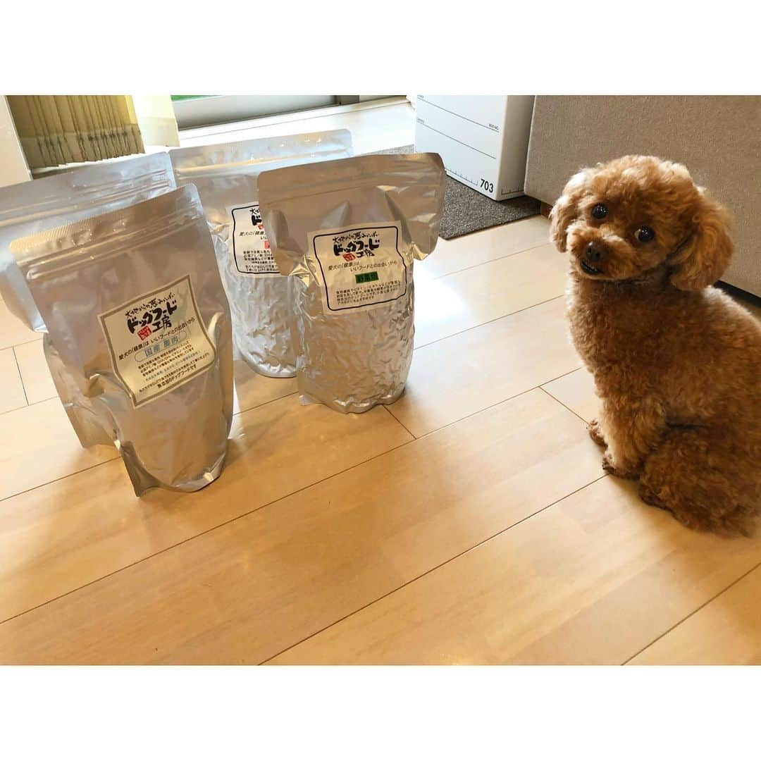 森谷賢太郎さんのインスタグラム写真 - (森谷賢太郎Instagram)「ドッグフード🐶 我が家の愛犬は「ドッグフード工房」さんのごはんを食べています！ 原材料も無添加でわんちゃんに優しいもので作られているのでオススメです！ たくさん食べてこれからも元気に走り回ってほしいです😊 #ドッグフード #いぬのごはん #愛犬 #トイプードル #愛犬家 なら #絶対に悩む #ドッグフード問題 #ドッグフード工房 #オススメです」7月7日 21時46分 - moriyakentaro