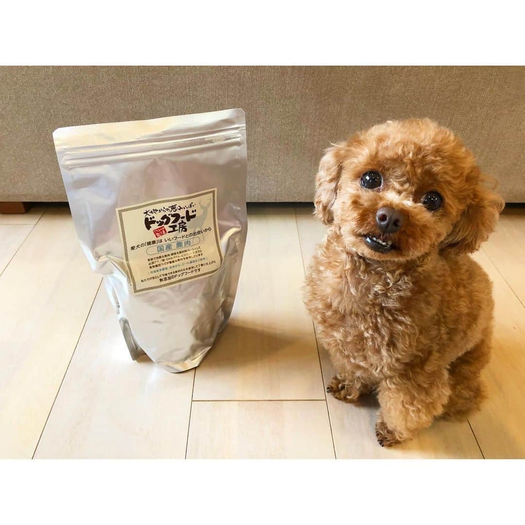 森谷賢太郎さんのインスタグラム写真 - (森谷賢太郎Instagram)「ドッグフード🐶 我が家の愛犬は「ドッグフード工房」さんのごはんを食べています！ 原材料も無添加でわんちゃんに優しいもので作られているのでオススメです！ たくさん食べてこれからも元気に走り回ってほしいです😊 #ドッグフード #いぬのごはん #愛犬 #トイプードル #愛犬家 なら #絶対に悩む #ドッグフード問題 #ドッグフード工房 #オススメです」7月7日 21時46分 - moriyakentaro