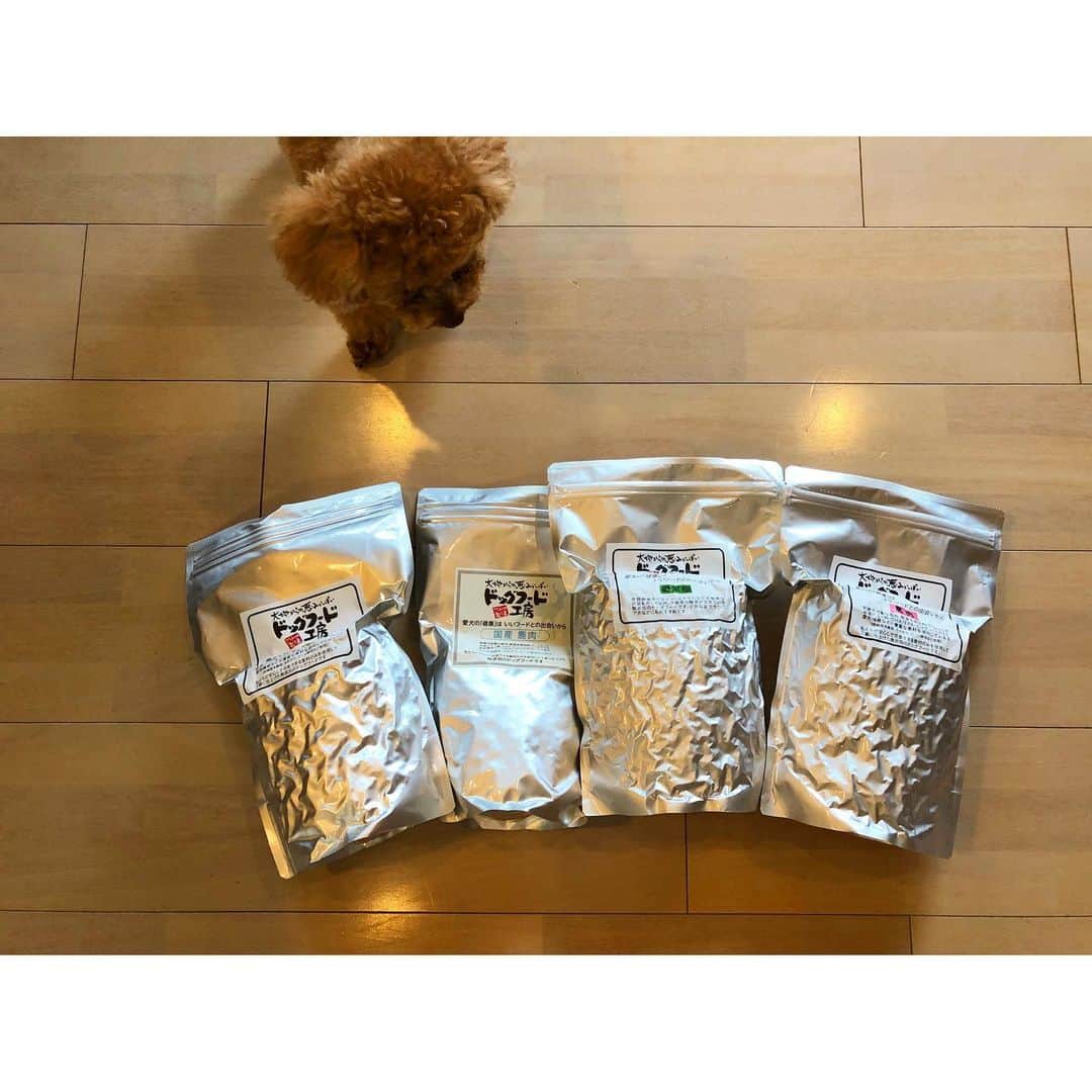 森谷賢太郎さんのインスタグラム写真 - (森谷賢太郎Instagram)「ドッグフード🐶 我が家の愛犬は「ドッグフード工房」さんのごはんを食べています！ 原材料も無添加でわんちゃんに優しいもので作られているのでオススメです！ たくさん食べてこれからも元気に走り回ってほしいです😊 #ドッグフード #いぬのごはん #愛犬 #トイプードル #愛犬家 なら #絶対に悩む #ドッグフード問題 #ドッグフード工房 #オススメです」7月7日 21時46分 - moriyakentaro