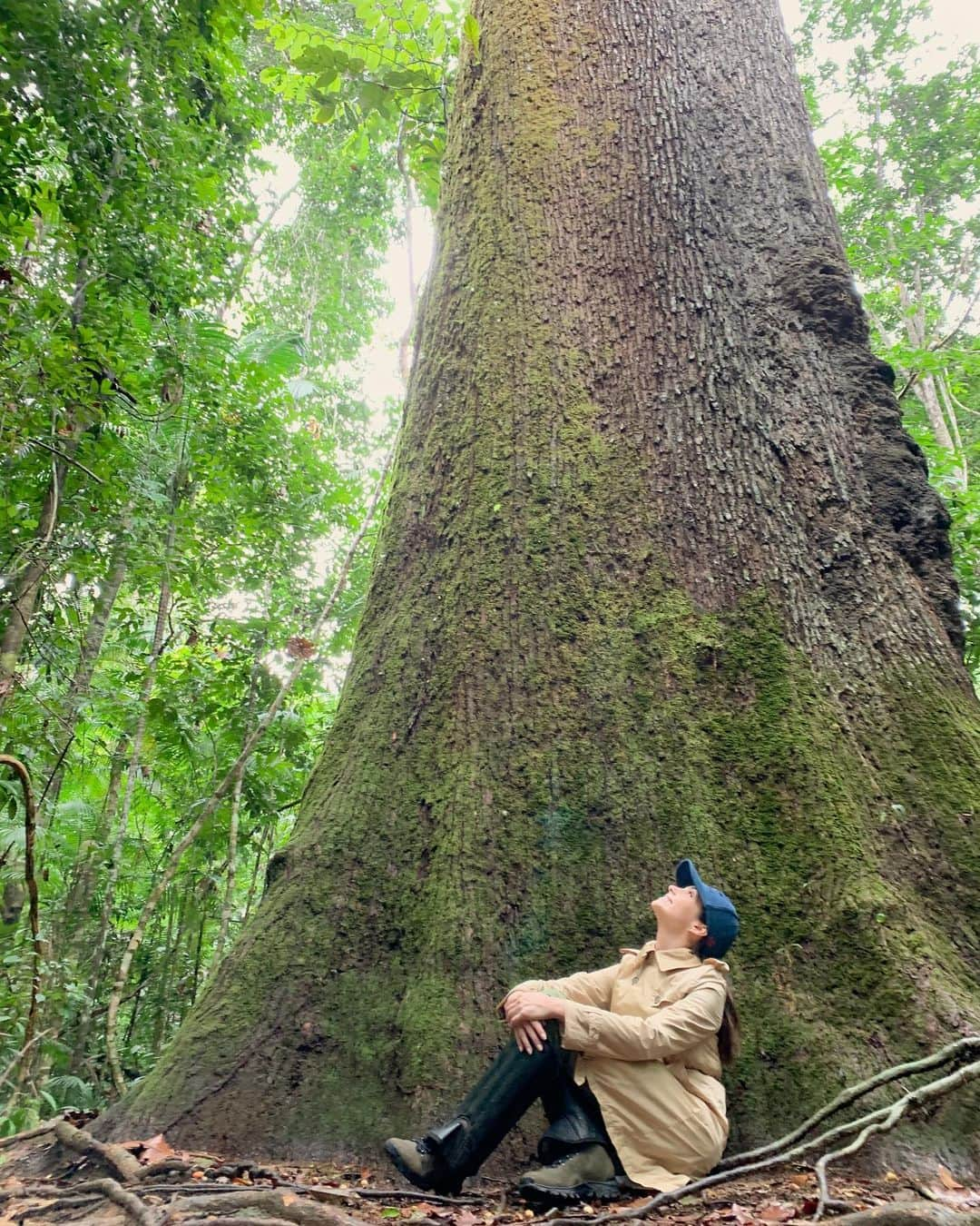 カロリーネ・セリコさんのインスタグラム写真 - (カロリーネ・セリコInstagram)「Nosso Planeta • Foto out.2019  Ontem assisti ao episódio Florestas da série incrível "Our Planet" e fiquei boquiaberta! 😱  É muita perfeição, muita beleza, muita divindade para estragarmos com lixo, ou interesse próprio. 🌱  Me conta uma coisa, o que você faz na sua casa, com a sua família, no seu dia a dia para tentar proteger o que nos foi dado GRATUITAMENTE? 🌎  #CaCelicoFilantropia #CaCelicoEssencia」7月7日 21時58分 - cacelico