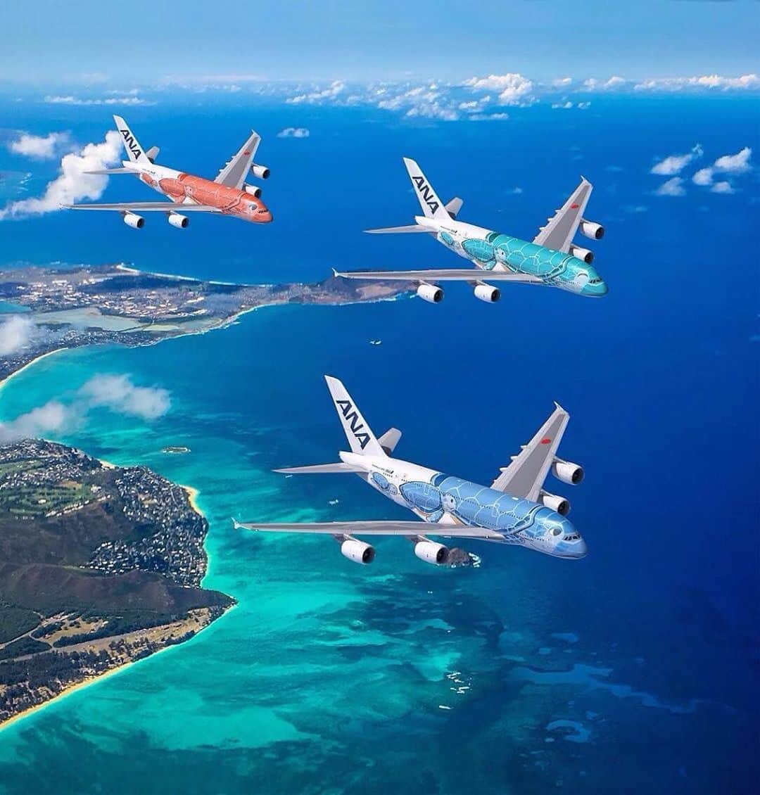 All Nippon Airwaysさんのインスタグラム写真 - (All Nippon AirwaysInstagram)「Now more than ever, we’re connected as one family. We can overcome any obstacle with our wings held high, together. 🛫 #FlyANA #honolulu #flyinghonu」7月7日 22時29分 - allnipponairways