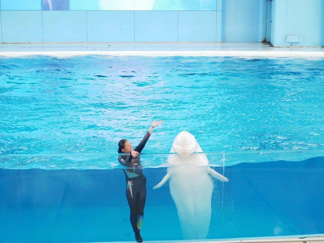菊井彰子さんのインスタグラム写真 - (菊井彰子Instagram)「シーパラの中で一番テンションたかかったのは、お魚よりもイルカショーよりもフラミンゴで爆上げでした🤣 うそーん。🤷‍♀️ホンマ予測不可能🙄笑 フラミンゴにずっと話しかけていたよ、、、。 ・ ・ ・ ・ #八景島シーパラダイス  #おやばか部  #親バカ  #生後10ヶ月 #女の子ベビー #女の子コーデ #新米ママ #女の子のママ #女の子ママ #10monthsbaby  #赤ちゃんのいる暮らし #赤ちゃんのいる生活 #ままのて #ベビーグラム  #赤ちゃんとママ #0歳　　#ベビー #親バカ部　#水族館 #成長記録　#育児記録　#娘　#乳児 #コドモノ #ママリ #ベビライフ #ベビメモリ  #ベビスタグラム #ママカメラ #ベビフル」7月7日 14時26分 - yanakiku_kiku