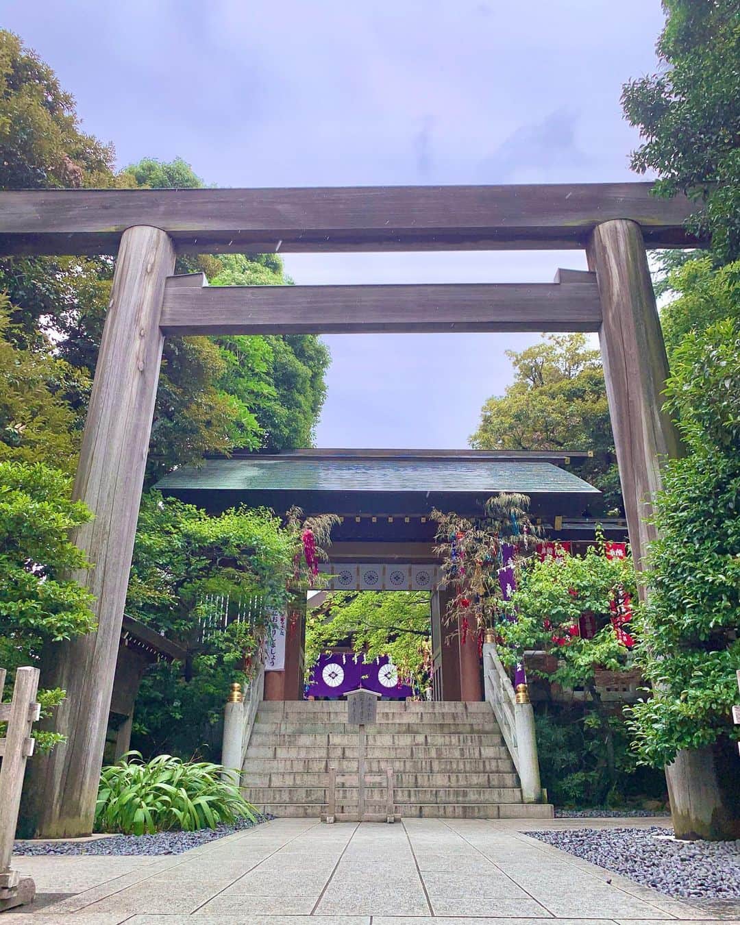 金子実加のインスタグラム：「メルヘンと恒例のお出かけに、 東京大神宮の七夕祭りに短冊書きに行って来ました🎋 毎年この時期は雨が降ってますね、 小さい頃は彦星織姫が会えなかったんだかわいそう😭と思っていましたが、 雲より上は晴れてる事を最近気付き心配する事をやめました🥺 みんながそれぞれ、 幸せな日々でありますように✨ . . . . . . #御朱印　#東京大神宮　#御朱印ガール  #七夕」