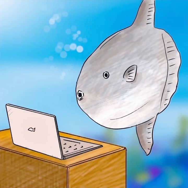 のインスタグラム：「🐠」