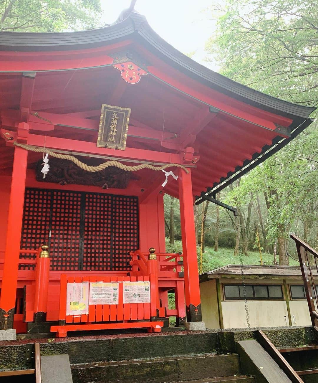 舞香さんのインスタグラム写真 - (舞香Instagram)「.﻿ 箱根神社と九頭龍神社に行ってきたよ⛩﻿ ﻿ ２日とも嵐が吹き荒れてて、まるで龍神さまが歓迎してくれているみたいで楽しかった😆🐉﻿ ﻿ ﻿ ﻿ 晴れの日だけを望むよりも、どんなお天気の日も楽しめる自分になった方がいいよね✨﻿ ﻿ 人生も良いことだけを起こそうとするよりも、何が起こっても楽しめる自分になっちゃえば最強⤴︎﻿⤴︎ ﻿ ﻿ 人生なにが起こるか分からないから楽しいんだもんね💖 ﻿ ﻿ #箱根神社﻿ #九頭龍神社﻿ #舞香マインド  #生き方  #神社巡り  #セルフィー  #楽しい人生  #followme﻿ #instagood﻿」7月7日 17時23分 - maika.mahou
