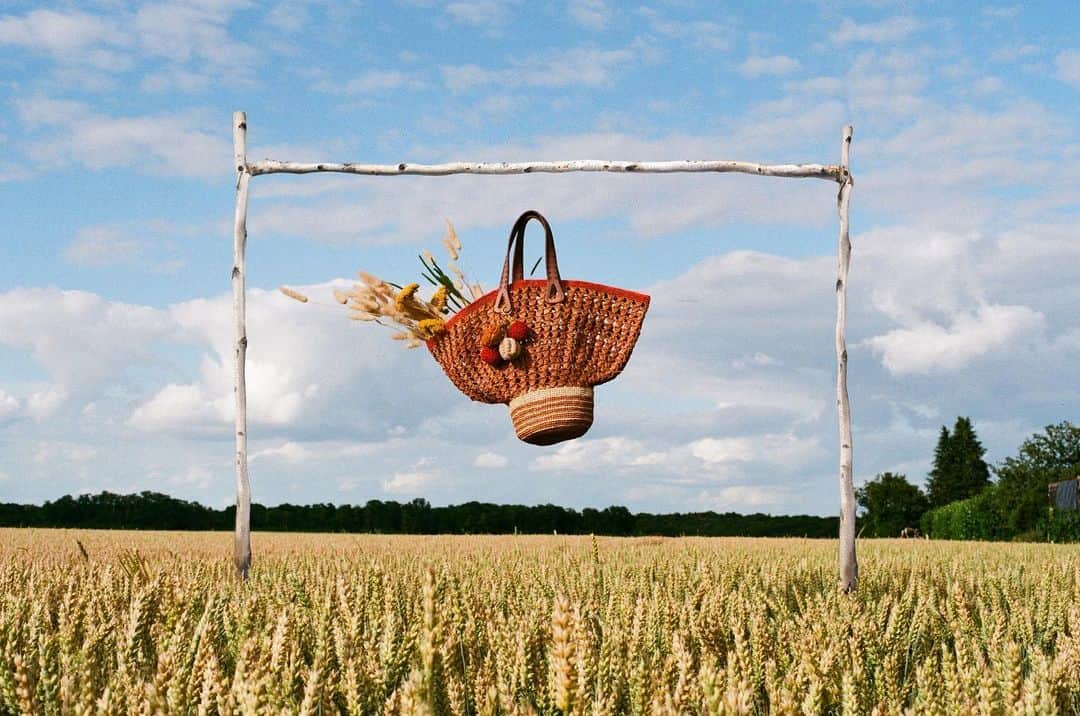 ジャマンピュエッシュのインスタグラム：「A peaceful moment in the wheat field.」