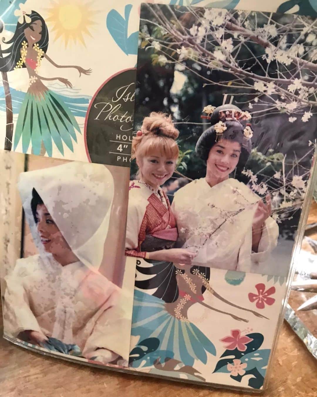 キャシー中島さんのインスタグラム写真 - (キャシー中島Instagram)「*﻿ たくさんの温かい言葉をありがとうございます❤️﻿ ここはとっても愛が溢れている大切な場所です！﻿ ﻿ 皆さんからいただいたコメントを読んで、﻿ 心の支えにしてこれからも前に進みます。﻿ ﻿ ﻿ 家にたくさんのお花が届いています。﻿ いつもひまわりの花をたくさんくださる﻿ #舘ひろし さん、ありがとうございます❤️﻿ ミカちゃん、北海道シスターズ、門脇さん、あさみちゃん、洋子さん、ナオナオさん、よしこさん。﻿ 美しいお花を本当にありがとうございます😊﻿ ﻿ そして、﻿ 今年も773チャリティから﻿ がん研究振興財団へ寄付金を贈らせていただきました。﻿  #ありがとう」7月7日 18時30分 - official_kathynakajima