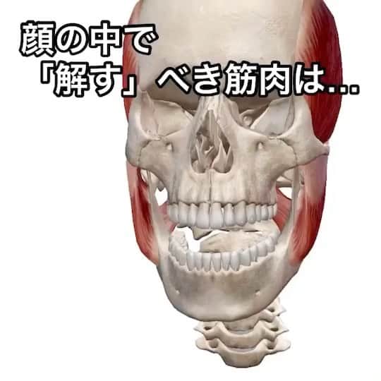 笑顔をリフォームする@健康小顔職人のインスタグラム：「． この素晴らしい動画に注目してください。 ． 顎の開閉にもとなって耳の上の筋肉が動いていることを‼️見逃した方はもう一度！ ． ほうれい線を短くしたい！フェイスラインをスッキリさせて『脱たるみ👊』を願う皆様に声を大にしてハッキリ言います‼️ ． サトコちゃんが伝えている顔の筋肉に加え更に重要なのはヘッドマッサージです👍 ． 私のメソッドはヘッドマッサージ→デコルテ→首→首→顔と行っていきます。 ． 本当に結果の出る施術を体感していただきたいです！セラピストサトコちゃんには私が出し惜しみなく施術を伝授しています。 ． 小顔にご興味のある方はプロフ🔗→ホームページからreserveにてご予約ください🤗 ． #小顔 #小顔マッサージ #小顔になりたい #小顔サロン  ． ． #Repost @satoko_therapist with @get_repost ・・・ 【解すべき筋肉と鍛えるべき筋肉】﻿ ﻿ 顔の中の筋肉で1番使っているのは﻿ 「咬筋」という事は前の投稿でお話しました。﻿ ﻿ 食べ物の咀嚼やストレスによる噛み締め等で﻿ 日常的に酷使されている「咬筋」は﻿ もちろん解すべき筋肉です。﻿ ﻿ 放置しておくとどんどん筋肉が発達して﻿ 顔が丸くなったりエラ張りの原因になります😱﻿ ﻿ 反対に﻿ 鍛えるべき筋肉もあります。﻿ ﻿ 前の投稿でもお話した﻿ 「殆ど使われる事のない70〜80%の筋肉」です。﻿ ﻿ その中でも特に顔の印象を変えるのが﻿ ﻿ 「大小頬骨筋」(だいしょうきょうこつきん)﻿ の衰えです。﻿ ﻿ 放置しておくと口周りのたるみやほうれい線等、﻿ いわゆる「老化」とされがちな現象が起こります😱﻿ ﻿ この様に、﻿ 顔には「解すべき筋肉」と﻿ 「鍛えるべき筋肉」がありますが﻿ ﻿ 私達の行う小顔整顔は、その両方を﻿ オールハンドのテクニックでアプローチします👐﻿ ﻿ ﻿ ▶️ご予約はプロフィールurlからお願いいたします  #小顔職人﻿ #小顔美容整体技士﻿ #小顔整顔﻿ #フェイシャル﻿ ﻿」