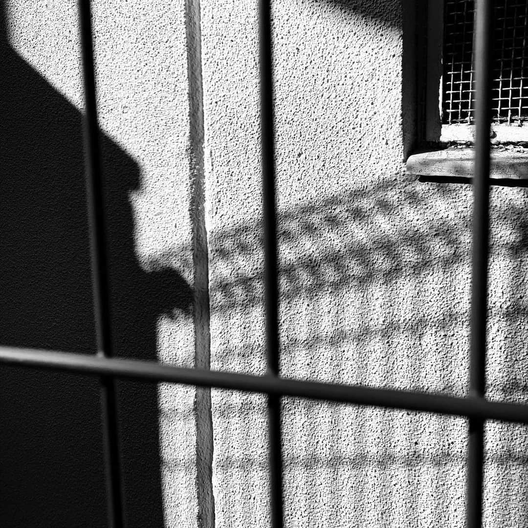 naotakeのインスタグラム：「壁 - A wall / iPhone XR & Snapseed, 20200708 . . 風しんの抗体検査。結果は抗体あり。母子手帳に記録がなかったんだけど、いつ予防接種したんだろう。 . . #spicollective #royalsnappingartists #infamous_family #rsa_main #infinity_photo_cult #2_fineart #jp_gallery_member #jp_gallery_bnw #trb_bnw #wp_bnw  #bnw_life #bnwlife_member #bnw_life_shots #bnw_captures #world_bnw #top_bnw #team_jp_ #team_jp_モノクロ #ig_energy_bw #ig_nihon #streetphotographybnw #igersjp #blackandwhite #bnw #bnwphoto #monochrome #bw #bnwphotography #ShotOniPhone #shotoniphoneXR」
