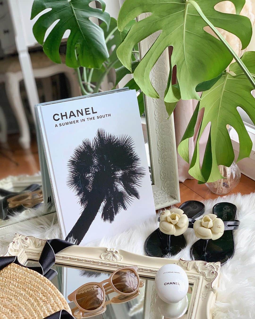 のインスタグラム：「✔︎ 𝗔 𝗦𝗨𝗠𝗠𝗘𝗥 𝗜𝗡 𝗧𝗛𝗘 𝗦𝗢𝗨𝗧𝗛🌴 ・ 廊下にいたモンステラを作業スペースに 移動させたら一気にsummerな雰囲気になりました💛 ・ 私は夏生まれだからかもしれませんが、 灼熱の夏が1番好きです😉🌈 ・ ヤシの木が目を引く 𝗖𝗛𝗔𝗡𝗘𝗟𝟮𝟬𝟭𝟭𝘀𝘀𝑆𝑡𝑦𝑙𝑒𝐵𝑜𝑜𝑘は お気に入りの一冊のひとつです✔︎ ・ ・ #summerhouse #chanel #chaneladdict #stylebook #monstera #parmtree #カメリア#ビーチサンダル#beachsandals #beachstyle #chanelbeauty#シャネルハンドクリーム#mirrormirror #interiorstyling#myroomtour」