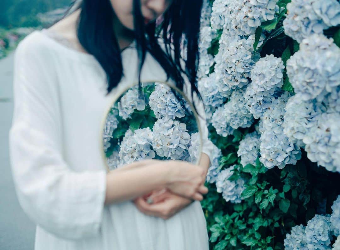 haraoのインスタグラム：「花を撮るのは苦手だよ - - -  #いつか見た夢の中で #vsco#pentacon6#filmphotography#analog#oldlens#cinematography#GPW_members_only#as_archive#into_the_screen#indies_gram#indy_photolife#screen_archive#curbonjp#cinesomnia#photocinematica#realismag#analoguepeople#analoguevibes#被写体募集 . #Instagram#InstagramJapan#tokyocameraclub#reco_ig#jp_mood#オールドレンズ#オールドレンズに恋をした#儚くて何処か愛おしい様な」