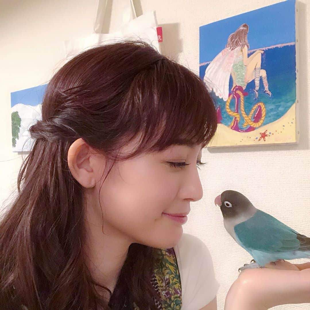 新井恵理那さんのインスタグラム写真 - (新井恵理那Instagram)「あと2時間ですって♪ 「第14回ROOTOTEチャリティーイベント ～トートバッグで、みんなに笑顔を～」に参加し、デザインしたトートバッグをヤフオク!に出品中(^^) 似た構図で、トートのセイレーンのその後を描いた絵は、完成させたものの…ポップになりすぎました。笑(途中までの様子はYouTubeにアップしていますよ(・∀・)) さて、トートバッグの落札金は、公益社団法人セーブ・ザ・チルドレン・ジャパンを通じ、 「新型コロナウイルス 感染症緊急支援」に寄付し、子どもたちへの支援に役立てられます。ぜひご検討ください(o^^o)  ＜チャリティーネットオークション＞ 開催期間： 2020年7月1日（水）〜7月7 日（火） チャリティーオークションサイト ヤフオク!  http://auctions.yahoo.co.jp/ （カテゴリー : チャリティー）#rootote #ヤフオク #オークション #トートバッグ #ラピス #ブルーボタンインコ #bird #新井恵理那 #centforce」7月7日 20時27分 - elina_arai