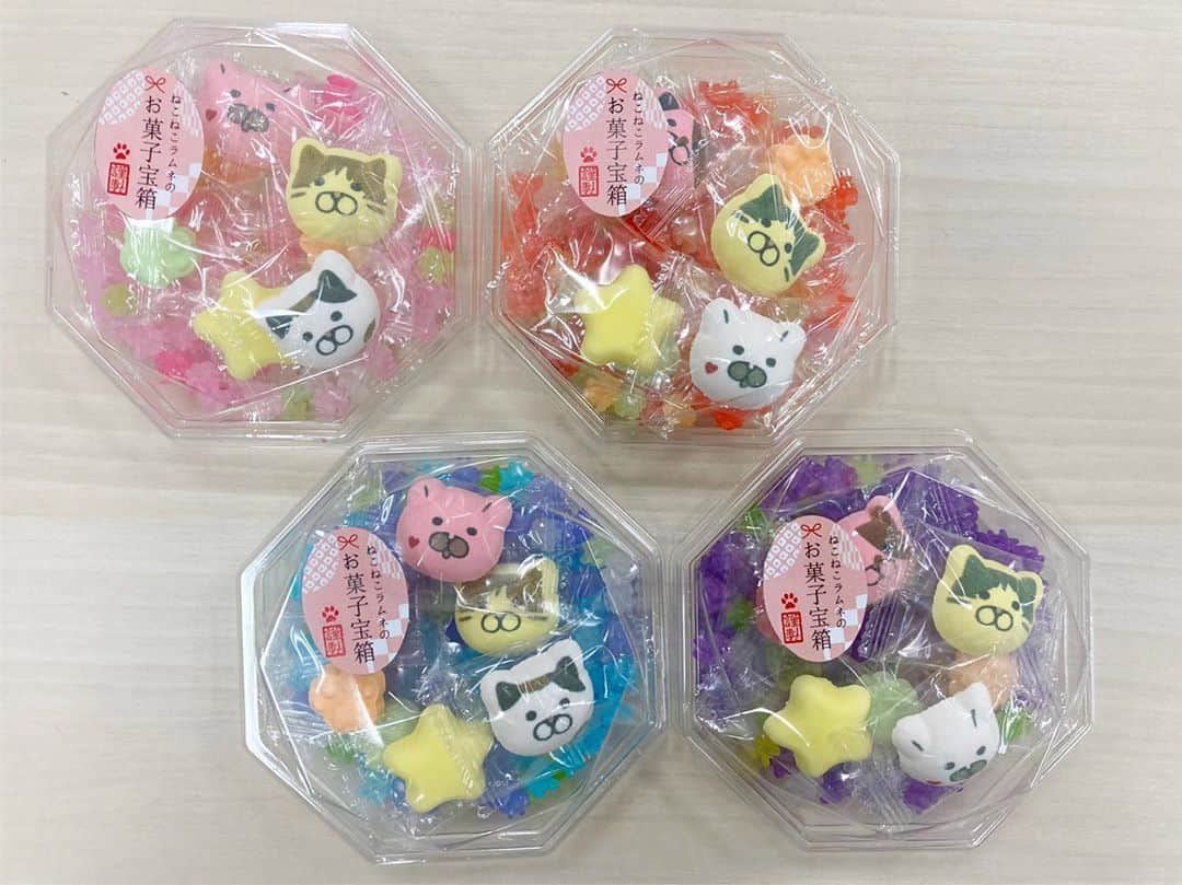 ねこのインスタグラム